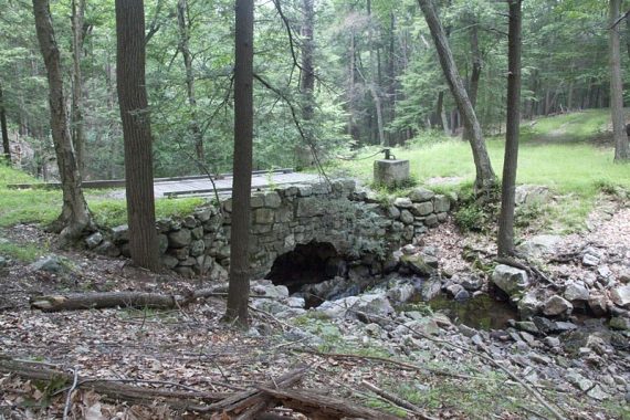 Bridge on Stahahe Brook Trail