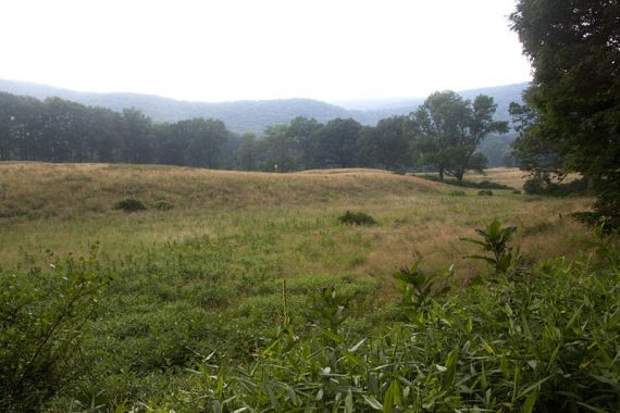 Open fields along Arden-Sturbridge Trail, nearing the Elk Pen parking lot