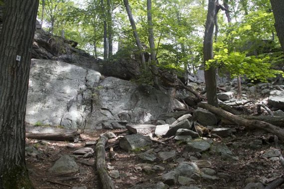 Arden-Surebridge trail.