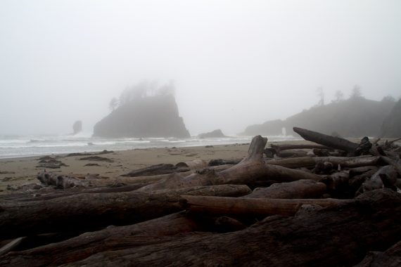 Second Beach in the fog.