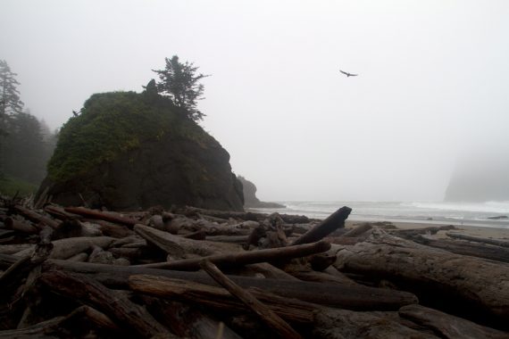 Fogged in Second Beach.