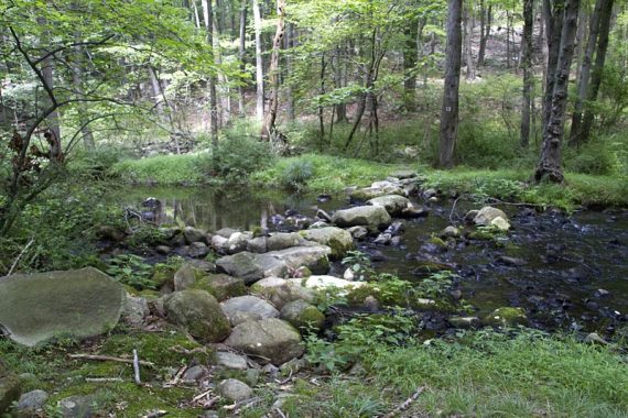 Red Cross Trail