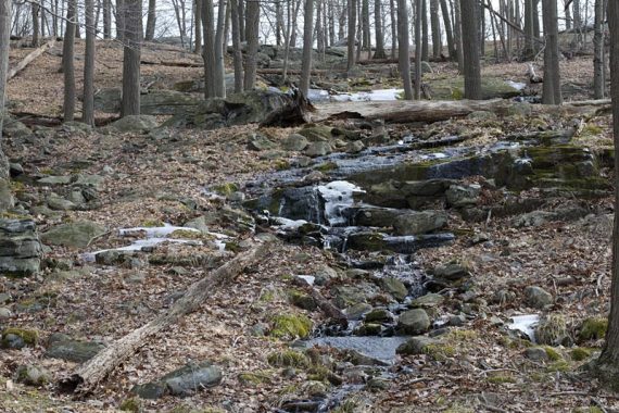 Stream along Ramapo-Dunderburg.