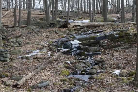 Stream along Ramapo-Dunderburg