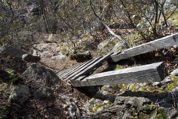 Ladder on Raccoon Brook Hills trail.