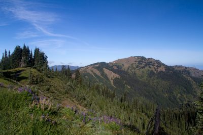 View of Hurricane Hill from Cirque Rim trail