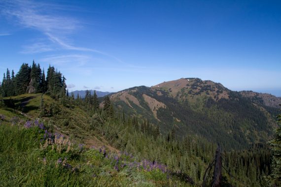 View of Hurricane Hill from Cirque Rim trail.