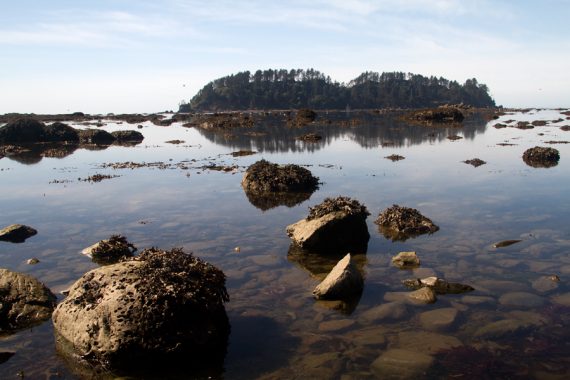 Cape Alava on the Ozette Loop hike.