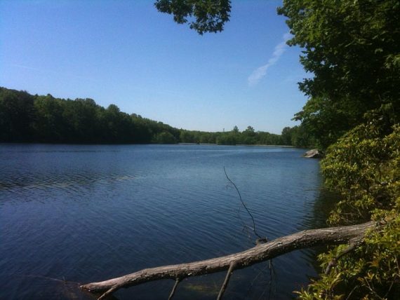 Taylortown Reservoir along the Orange Trail.