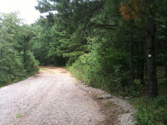 Yellow trail marker disc