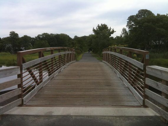 One of several bridges and boardwalks