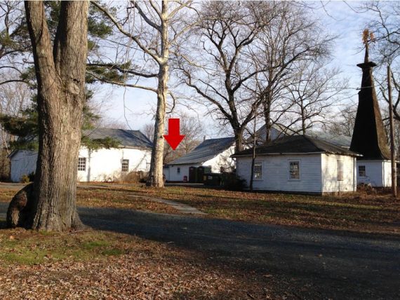 Find the trail behind the white buildings