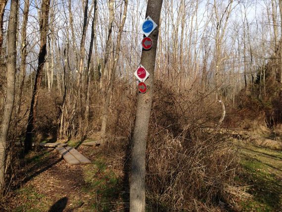 Watershed trail markers