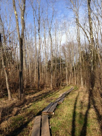 Watershed trail