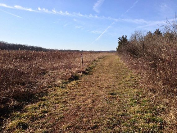 Meadow-Pond trail