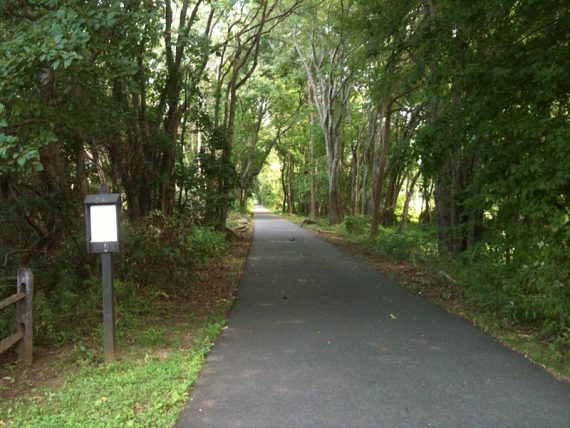 Henry Hudson Trail on the way back