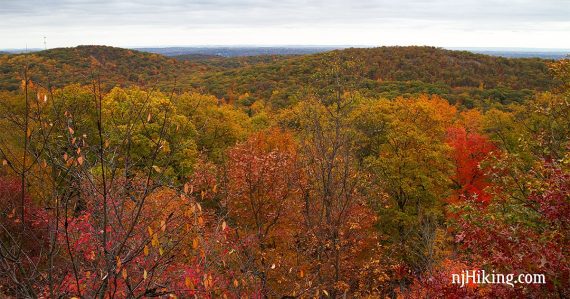 Ilgenstein Rock View - Ringwood SP