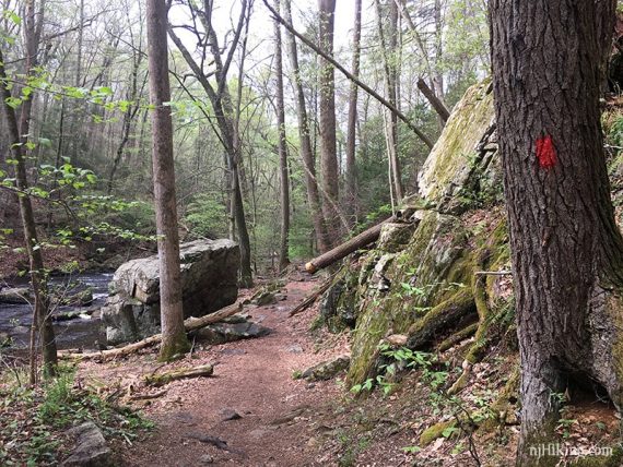 Trail between a stream and a tall rock face.