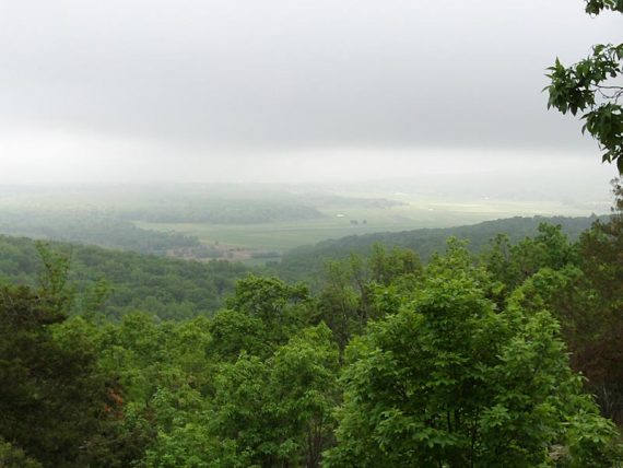 Very foggy view over farmland
