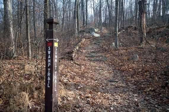 Wooden trail sign post
