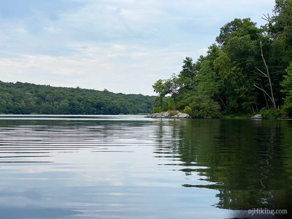 Tall green trees around flat calm water.