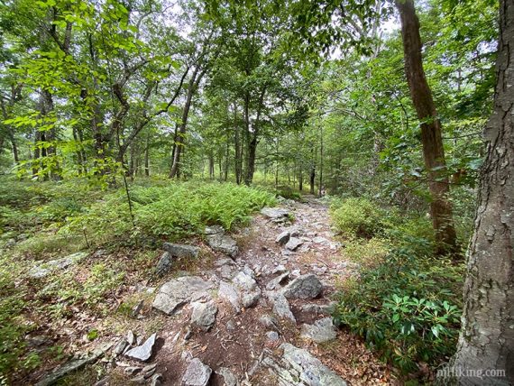 Very rocky Appalachian Trail.