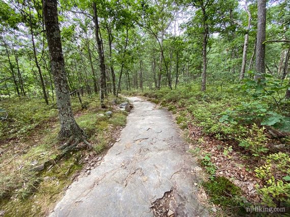 Long flat rock section of trail