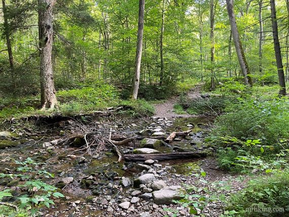 Stream crossing with rocks.