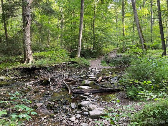 Stream crossing with rocks