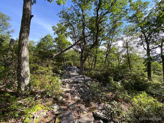 Rocky trail heading uphill with blue sky visible