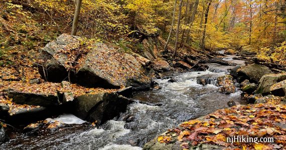 Black River tumbling over rocks with fall leaves on the ground.