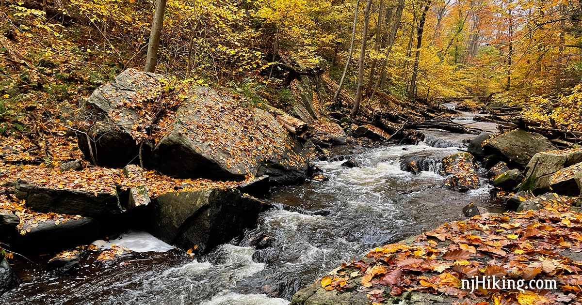 Fall foliage along the Black River.