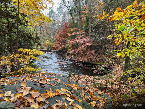 Rock covered with leaves and a river surrounded by fall foliage.