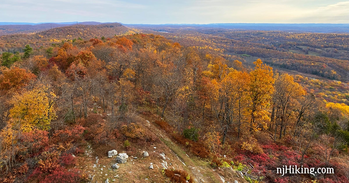View of orange and yellow foliage covered mountains from a fire tower.