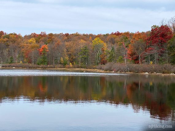 Fall foliage reflected in a lake.