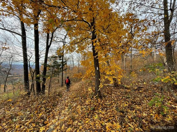 Hiker on leaf covered trail.