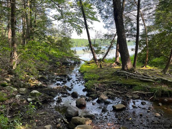 Wawayanda Lake seen through trees.