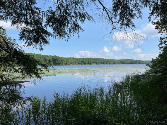 Wawayanda Lake.