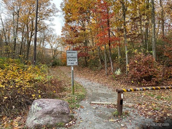 Metal gate at a woods road.