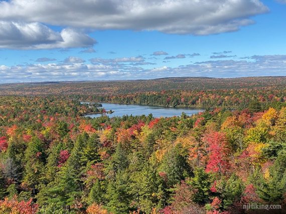 Vibrant fall foliage with a lake in the distance