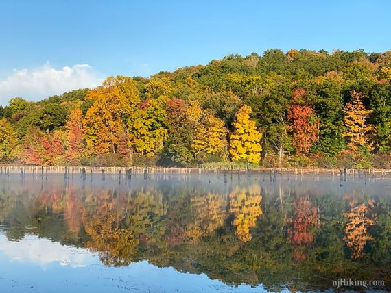 Bright fall foliage reflected in a calm lake