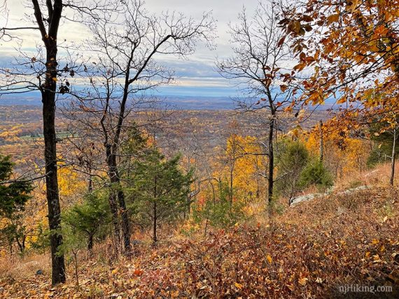 View of a fall foliage covered valley through trees.