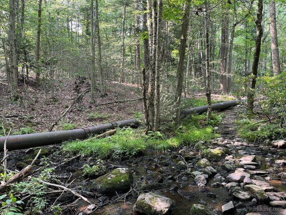Pipeline remains.
