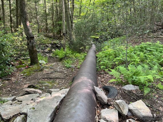 Pipeline running over trail.