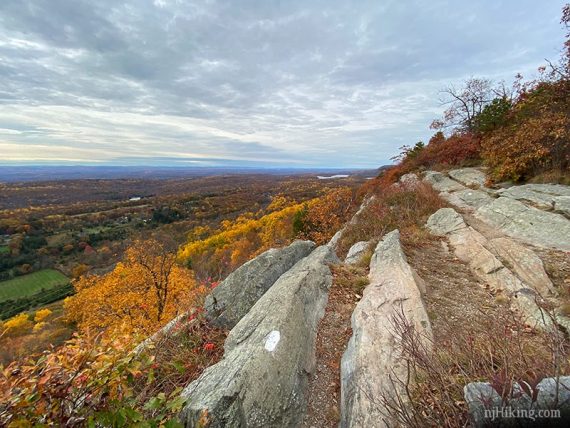 White blaze on rocky ridge with foliage in the valley below.