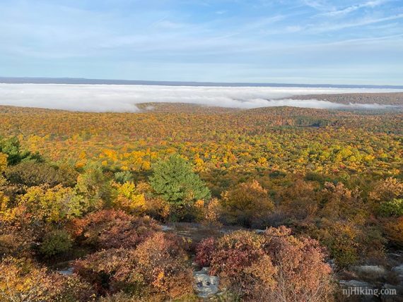 View over fall foliage in Stokes Forest.