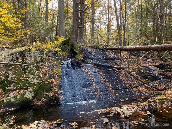 Water cascading over an angled rock face.