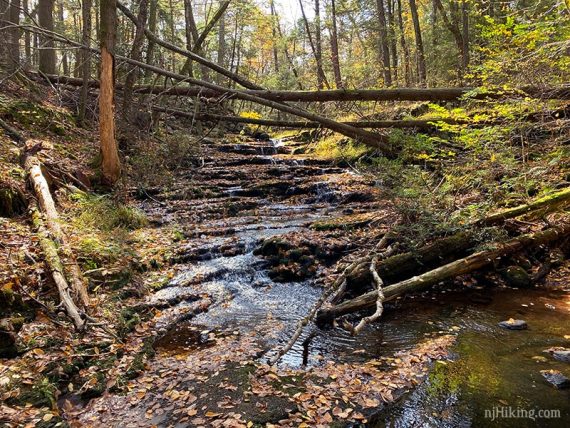 Stepping Stone falls with light water flow.