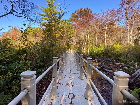 Floating trail bridge
