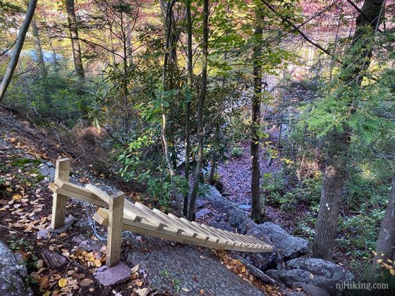 Ladder over a rock face.